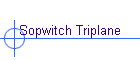 Sopwitch Triplane