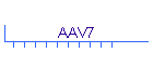 AAV7