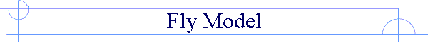 Fly Model