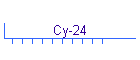Су-24