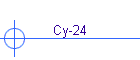 Су-24