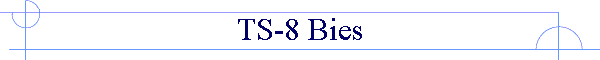 TS-8 Bies